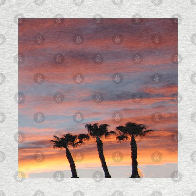 Palm Trees in Las Vegas Orange Sunset Sky by Star58